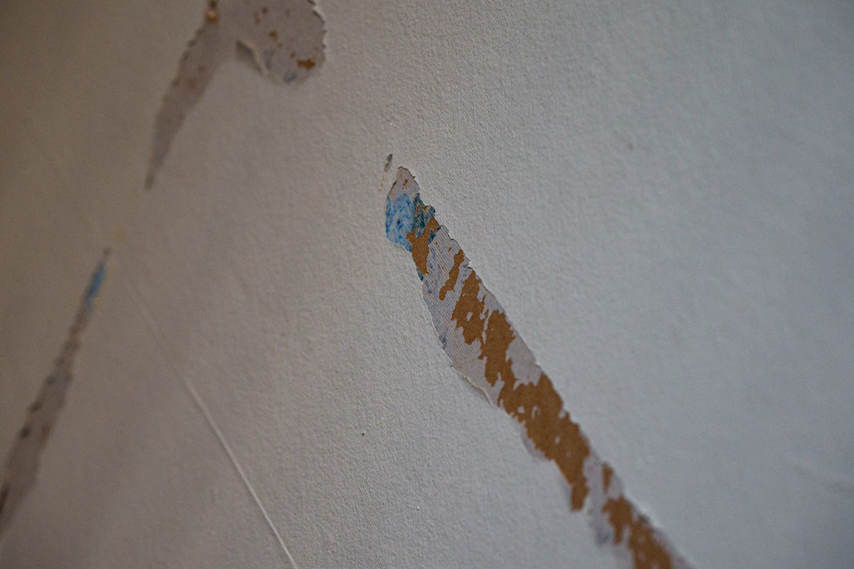 Storm Damage Repair service in Cambridge, MA